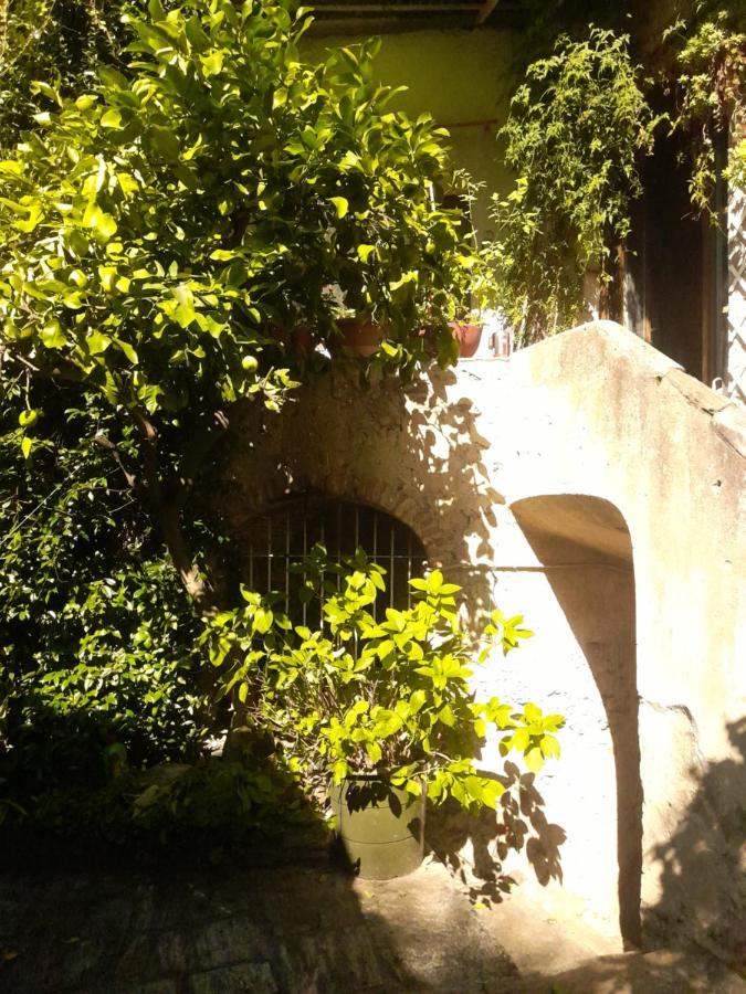 Nonna Anita Bed & Breakfast Castelveccana Dış mekan fotoğraf
