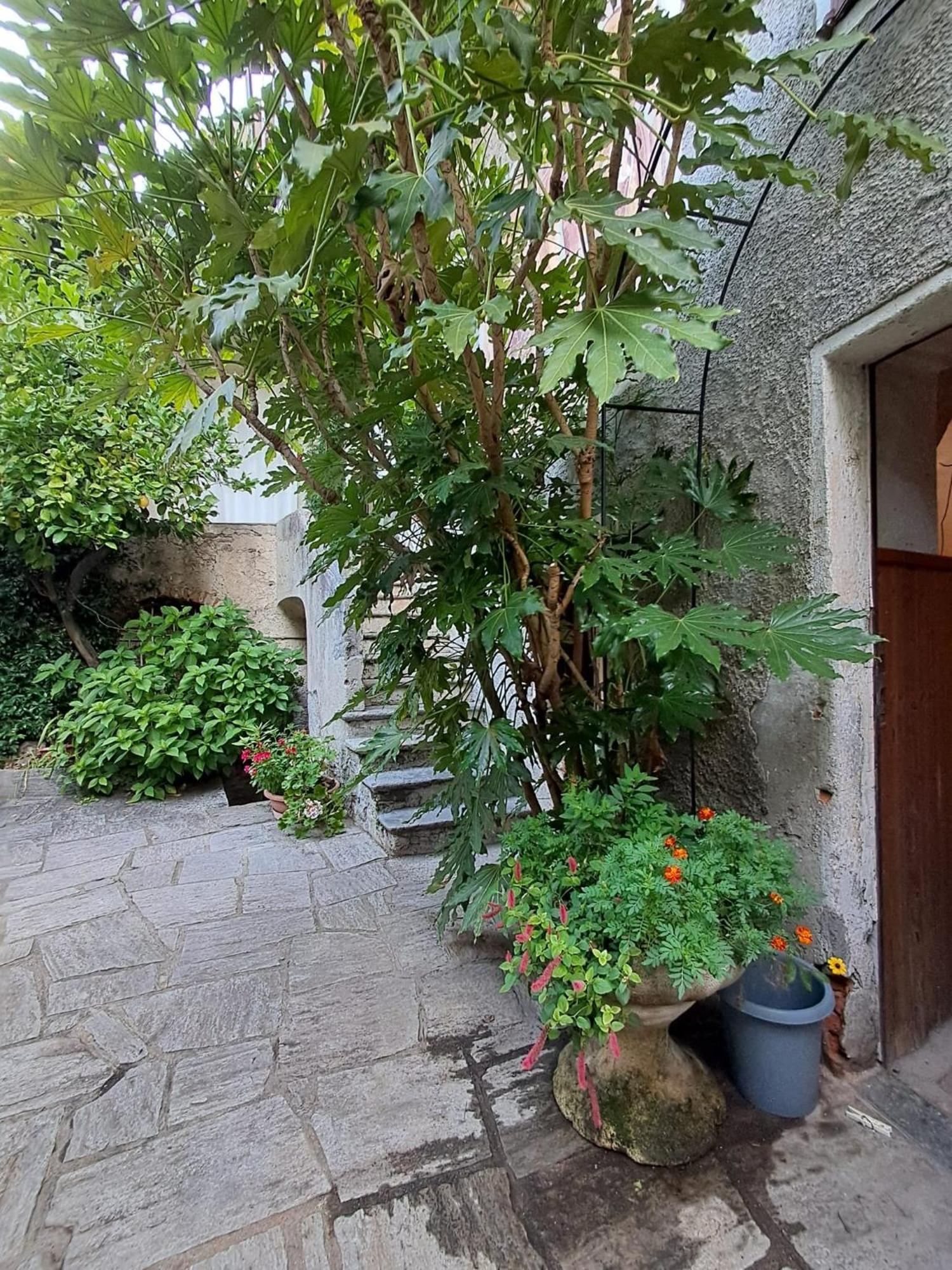 Nonna Anita Bed & Breakfast Castelveccana Dış mekan fotoğraf